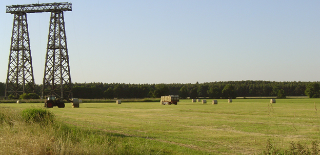 Pferde auf der Weide