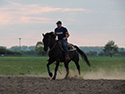 Frühjahr 2012