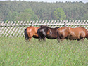 Frühjahr 2012