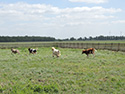 Frühjahr 2012