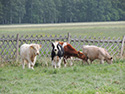 Frühjahr 2012