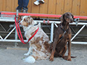 Frühjahr 2012