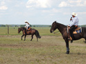 Frühjahr 2012