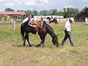 Frühjahr 2012