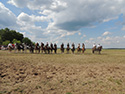 Frühjahr 2012