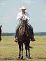Frühjahr 2012