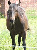 Frühjahr 2012