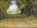 Sommer & Herbst 2012