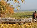 Sommer & Herbst 2012