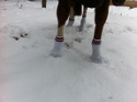 Winter 2012 / 2013