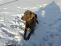 Winter 2012 / 2013