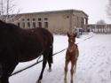 Winter 2012 / 2013