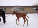 Winter 2012 / 2013