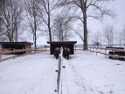 Winter 2012 / 2013