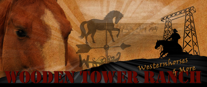 Wooden Tower Ranch – Westernhorses & More