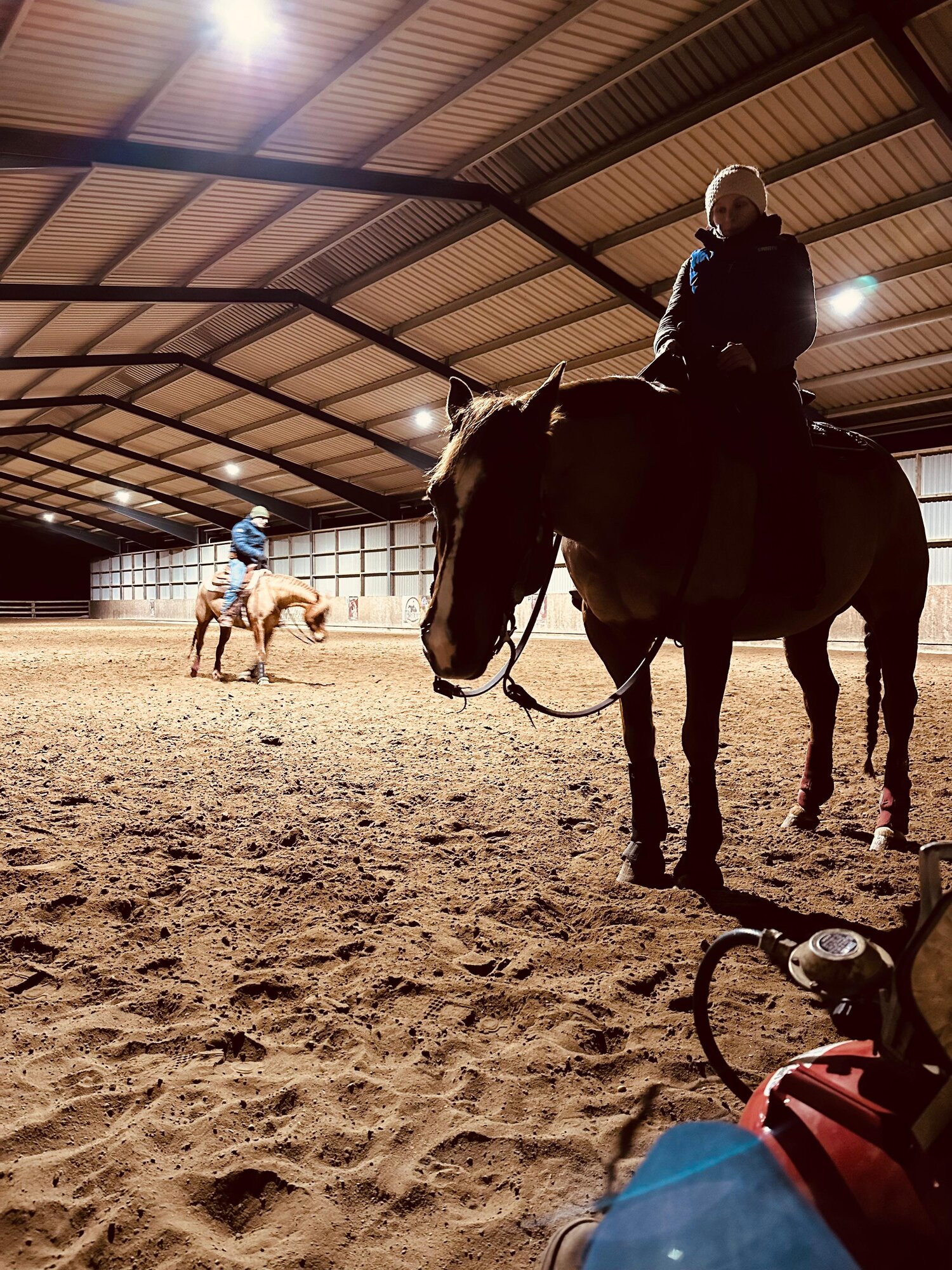 Training & Reitunterricht