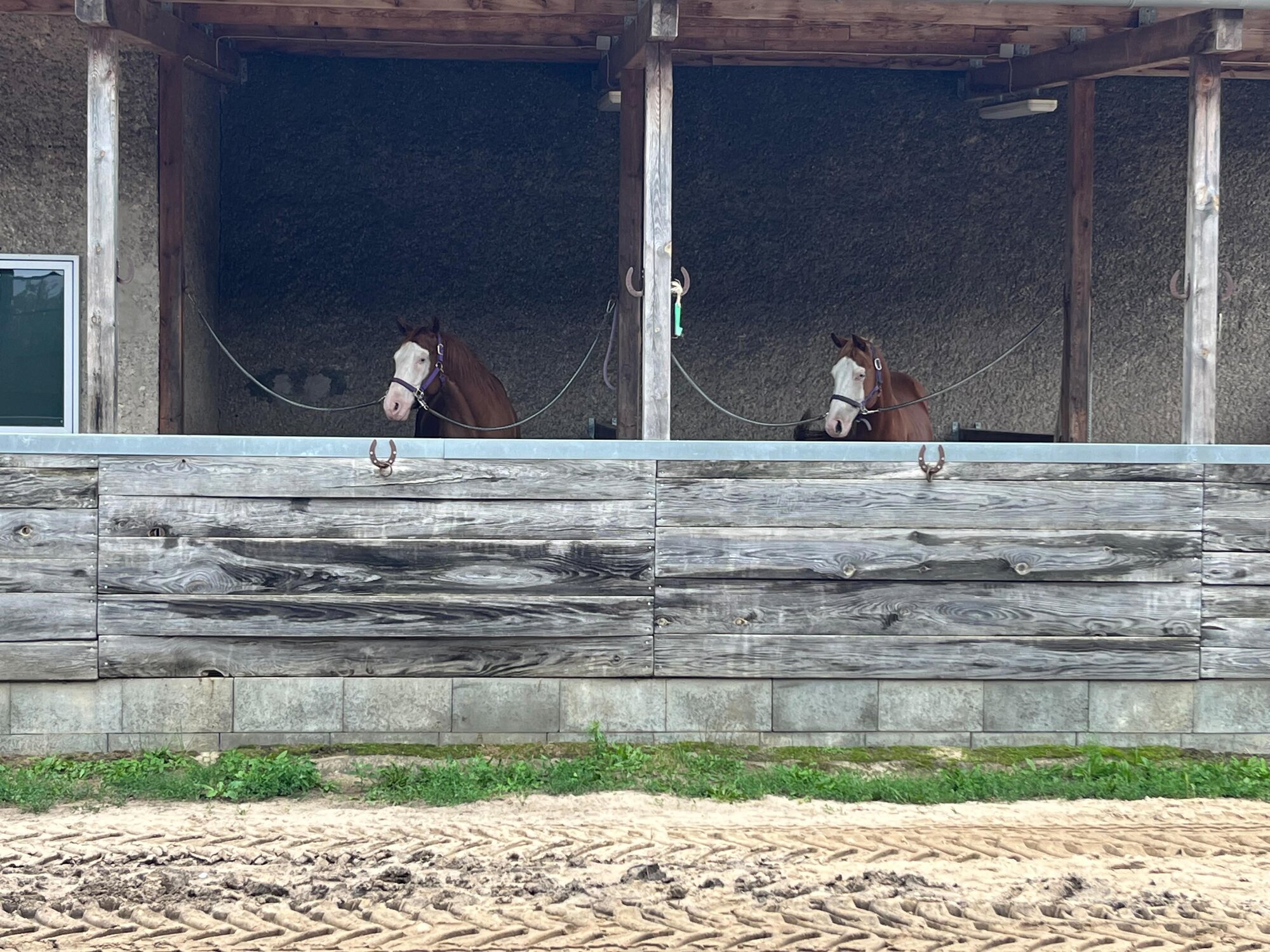 Kurse und Turniere